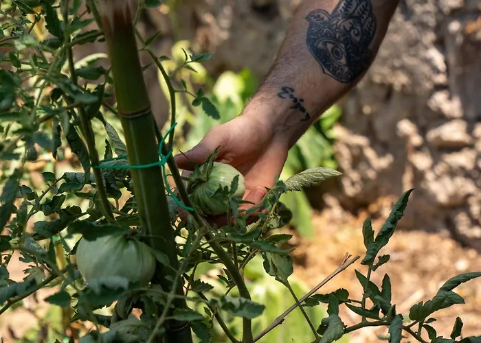 La Vega ホテル カプリ