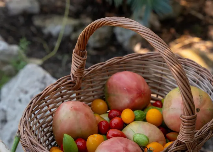 ホテル La Vega 4*